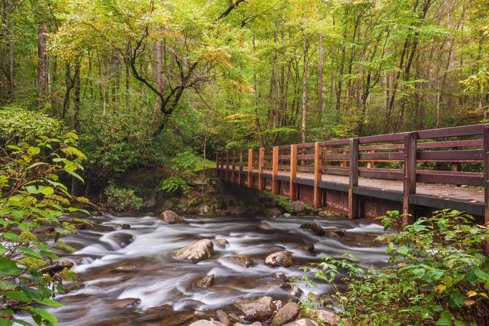 Sweet Seclusion, Hot Tub, Air Hockey, Wifi, 1089 Free Tickets Each Paid Day, Dollywood And More Sevierville Exterior foto